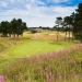 <h2>2019 British Isles Golf Cruise & The 148th Open at Royal Portrush</h2>12 Nights | 5 Rounds | Edinburgh to Southampton | July 17 - 29, 2019