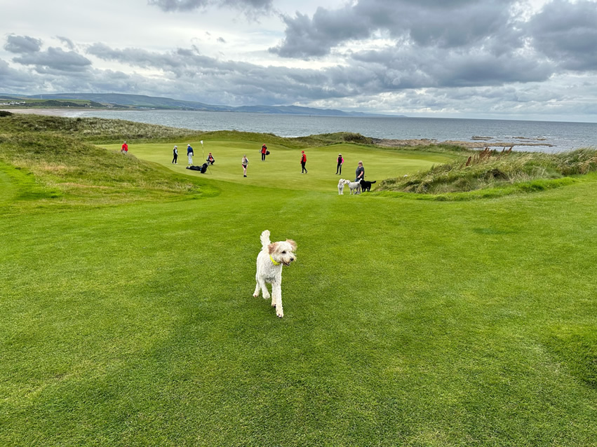 <h2>The 2023 British Isles Golf Cruise & The 151st Open</h2>12 Nights | 3-6 Rounds | Dublin - Edinburgh | July 20 – August 1 