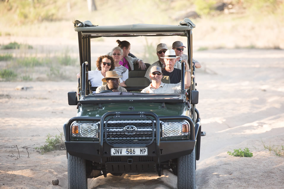 <h2>The Best of South Africa Escorted 2018</h2>Golf, Kruger Safari, Cape Town, the Winelands & Garden Route